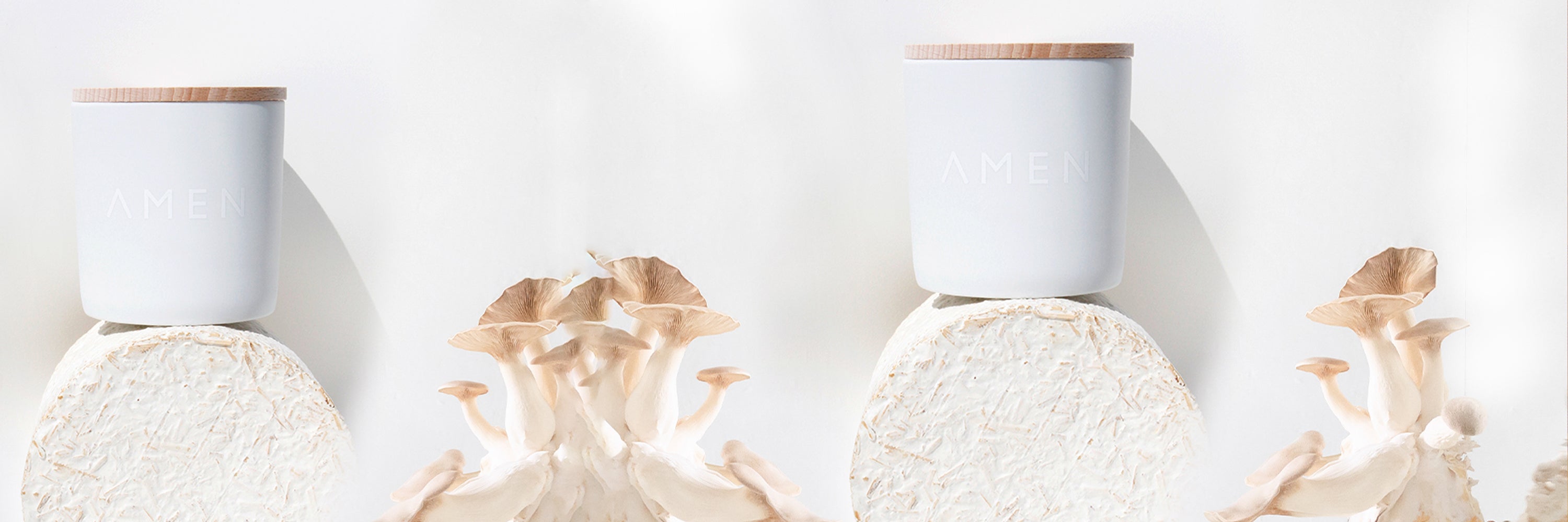 Amen Collection at Aedes Perfumery