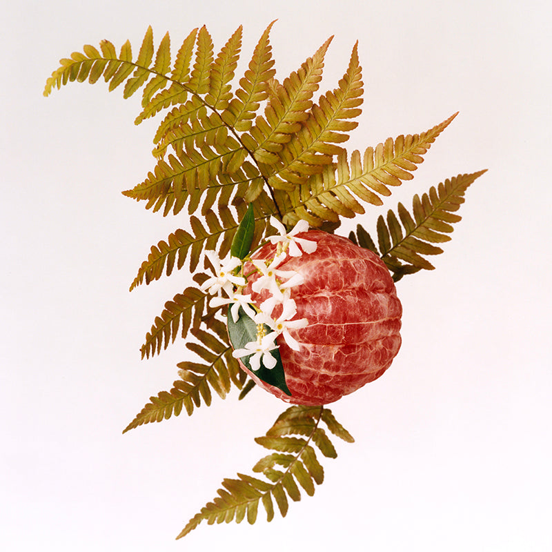 Adelphi Sun - Eau de Parfum Still life image | Liberty London | AEDES.COM