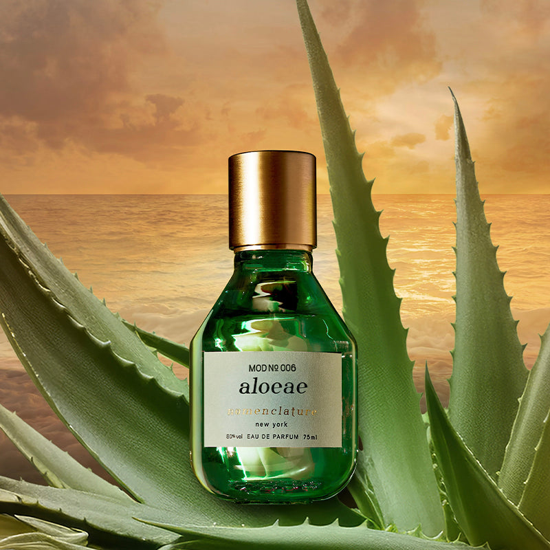 Aloeae - Eau de Parfum | Nomenclature | AEDES.COM