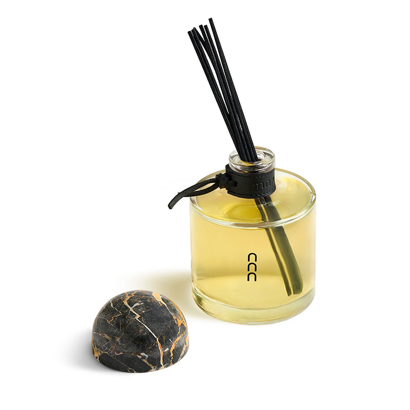 Botella Marchanta 01 - Diffuser