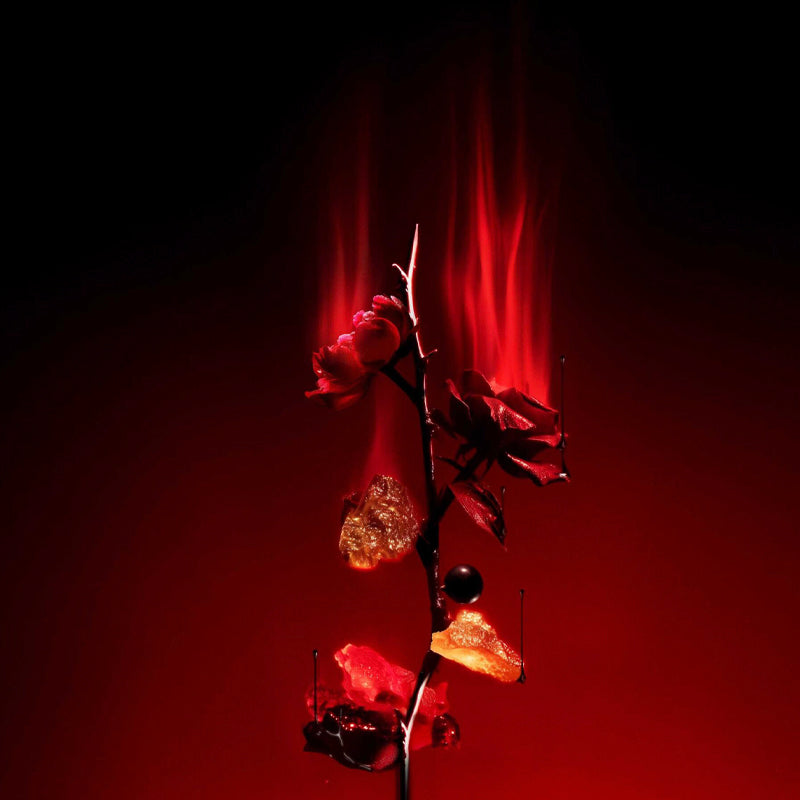 Ensang Noir - Eau de Parfum | L'Entropiste | AEDES.COM