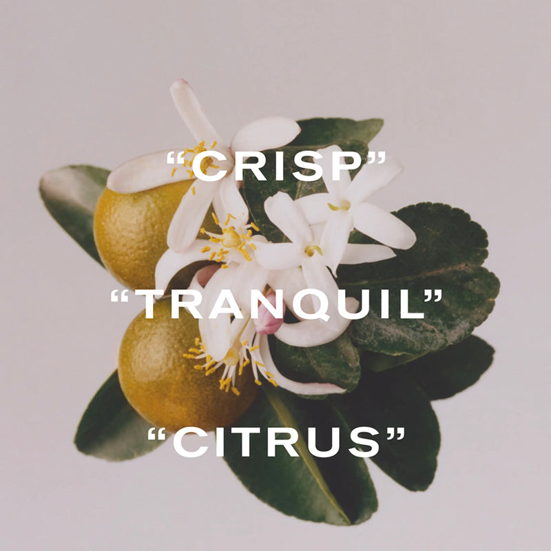 Liberty Maze - Eau de Parfum