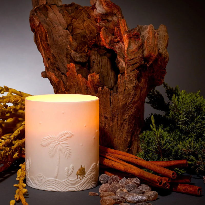 Haas Mojave Palm Candle