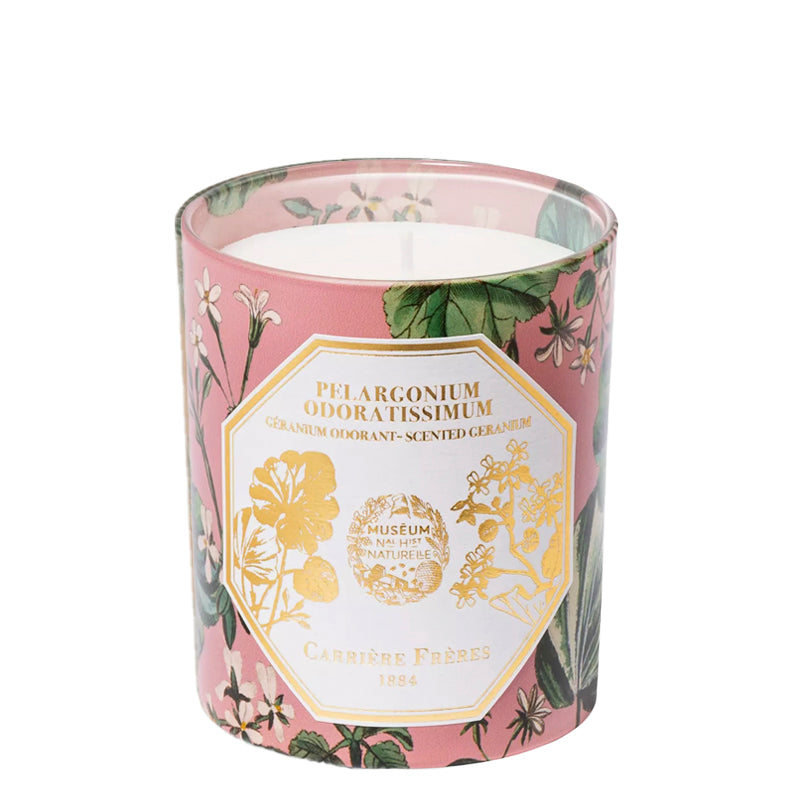 Geranium - Candle | Carriere Freres | AEDES.COM