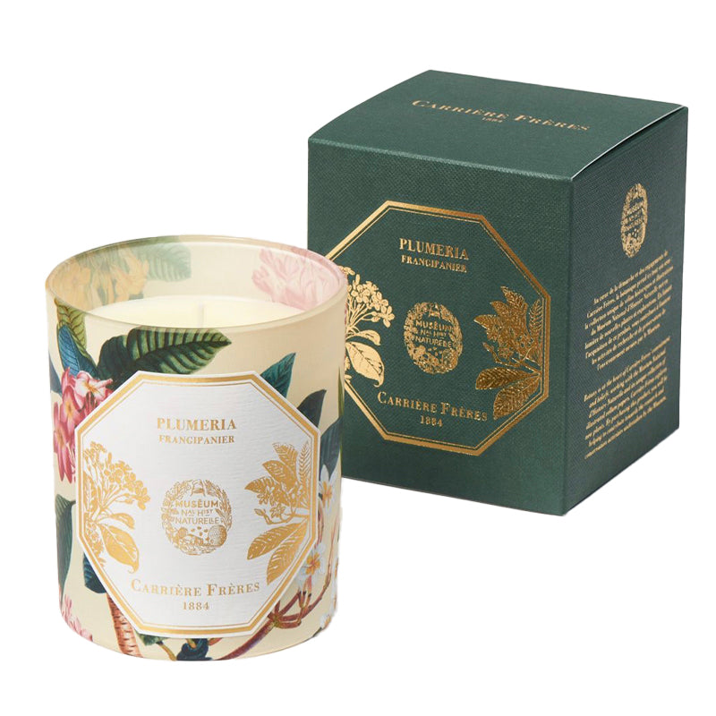 Plumeria | Frangipani - Candle