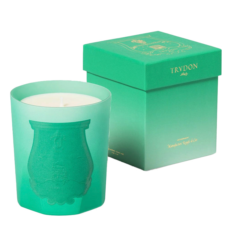 Under The Trees - Limited Edition Candle