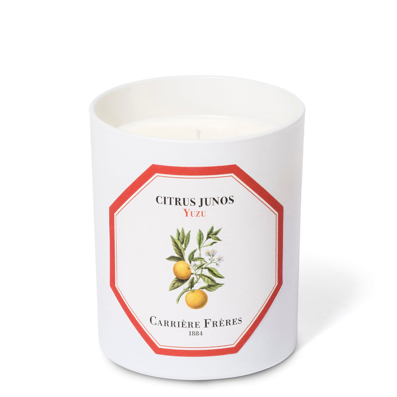 Yuzu - Citrus Junos Candle | Carriere Freres | AEDES.COM