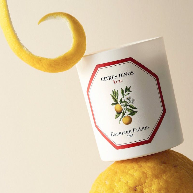 Yuzu - Citrus Junos Candle | Carriere Freres | AEDES.COM