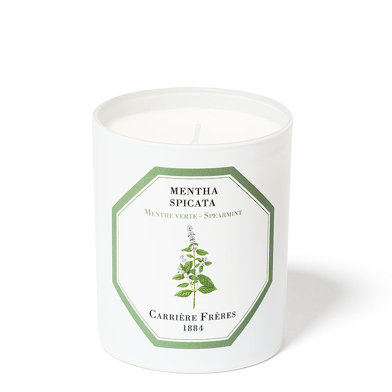 Menthe Verte - Spearmint Candle 6.5oz by Carriere Freres