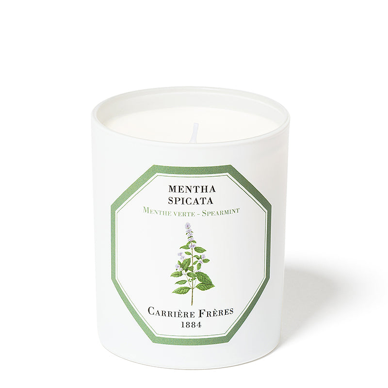 Menthe Verte Spearmint Candle 6.5oz CARRIERE FRERES
