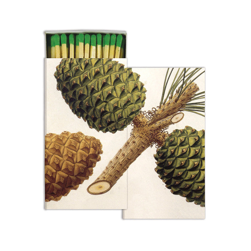 Pine Cone - Matches