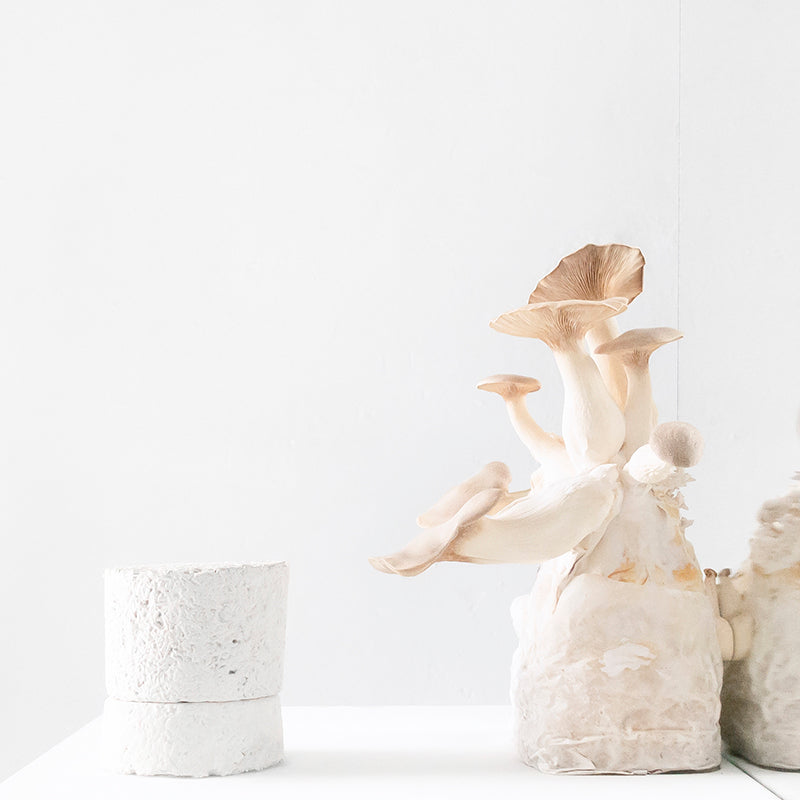 Chakra 01 : Root : Vetiver : Scented Candle | Amen | AEDES.COM