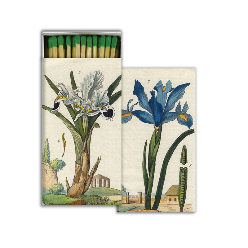 Vintage Iris - Matches