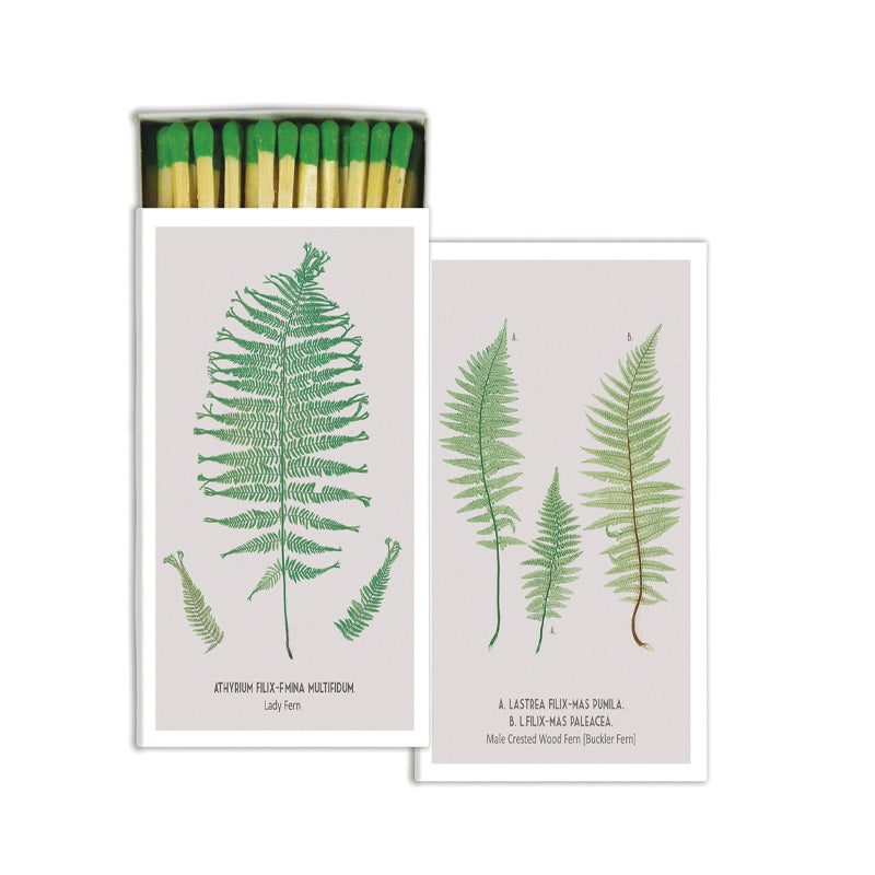 Lady Fern - Matches