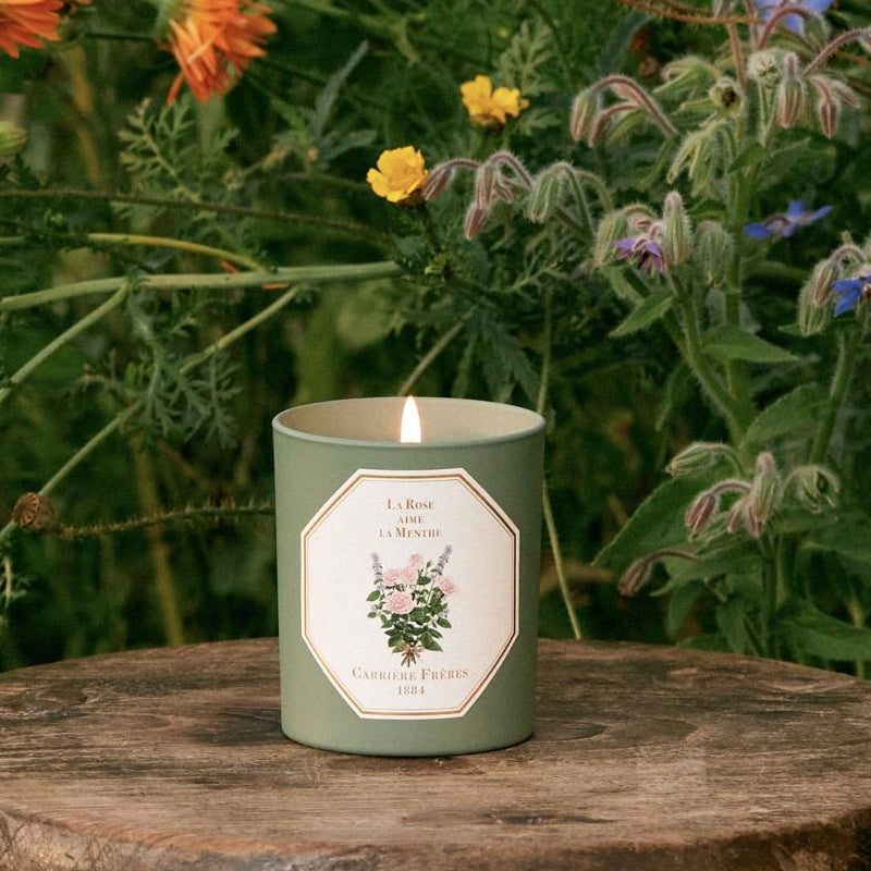 La Rose Aime la Menthe Candle - Candle | Carriere Freres | Aedes.com