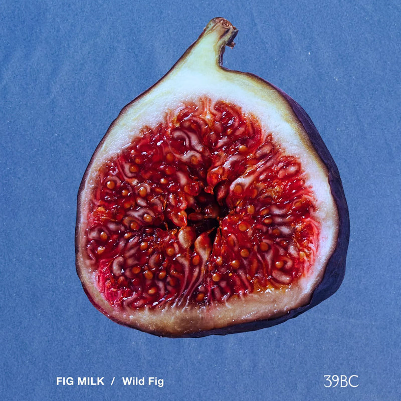 Halved fig on a blue background with 'FIG MILK / Wild Fig' and '39BC' text.