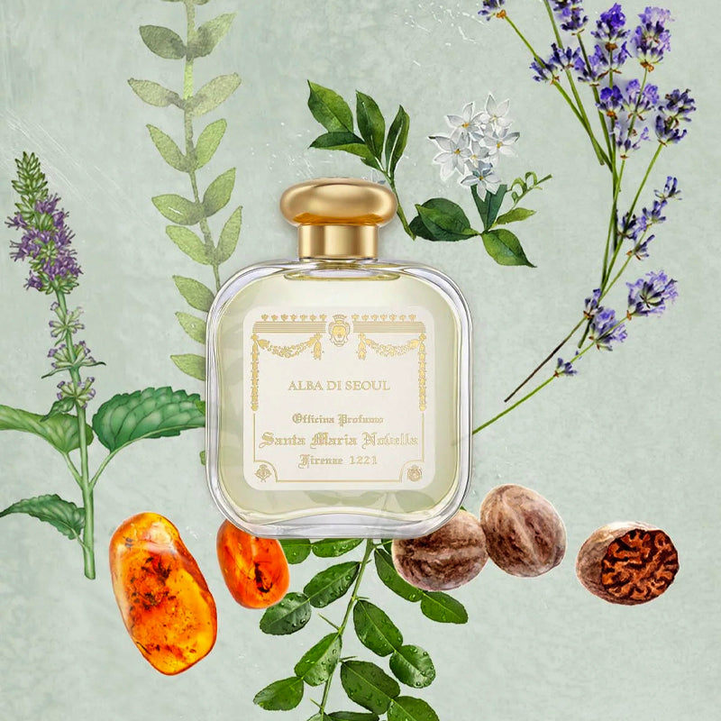 Alba di Seoul | Santa Maria Novella Collection | Aedes.com