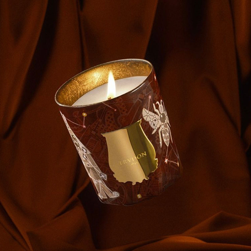 Trudon Libra Candle in a decorative holder with a brand logo on a brown background