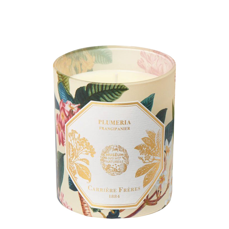 Plumeria | Frangipani - Candle