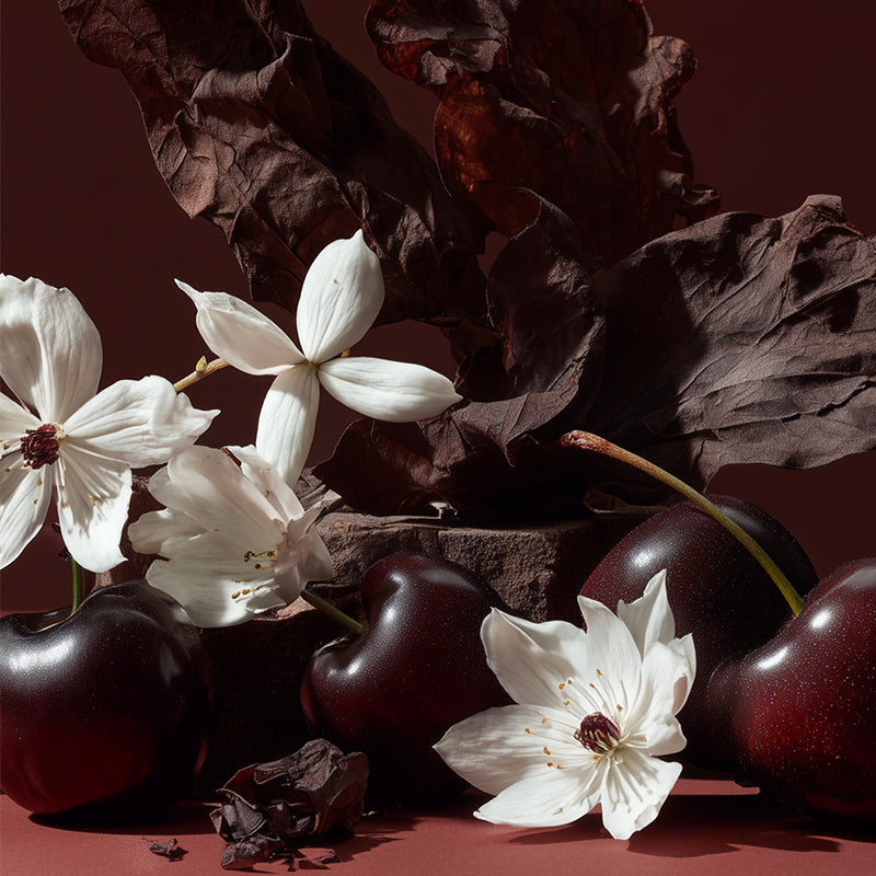 A moody still life composition featuring glossy dark red cherries, white blossoms, and dried dark brown leaves against a deep reddish-brown background. Tobacco Memories - Extrait de Parfum | Chambre 52 | AEDES.COM