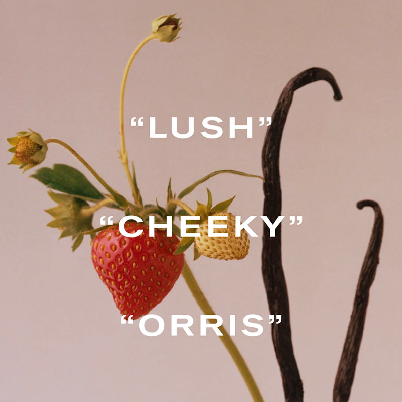 Vine Thief - Eau de Parfum Still Life  | Liberty London | AEDES.COM