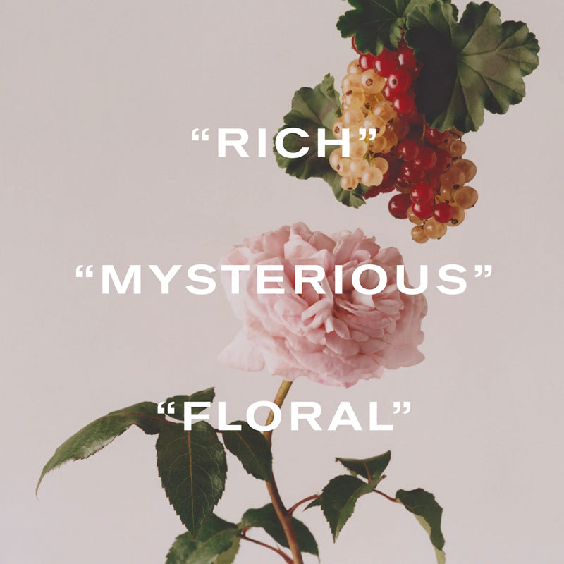 Wild Rosinda - Eau de Parfum Still Life| Liberty London | AEDES.COM