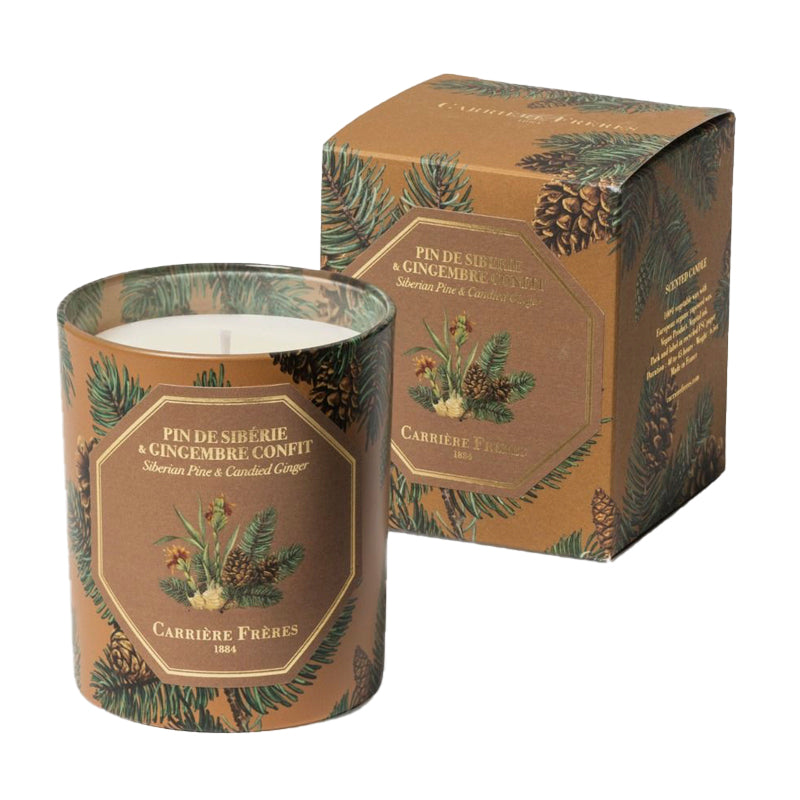 Siberian Pine & Candid Ginger - Candle